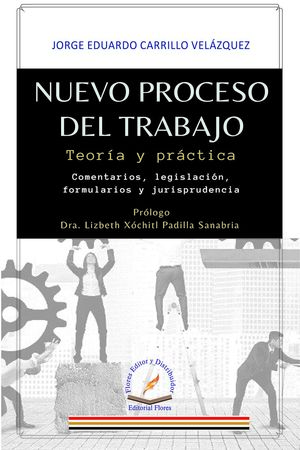 Nuevo Proceso Del Trabajo