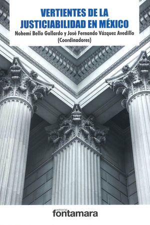 Vertientes De La Justiciabilidad En México