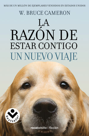 La Razón De Estar Contigo. Un Nuevo Viaje