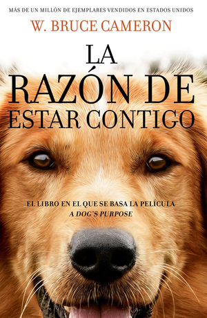 La Razón De Estar Contigo