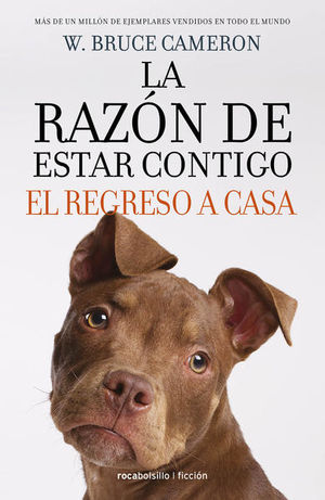 El Regreso A Casa