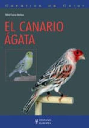 sotano_covers/9788425/9788425518638.jpg