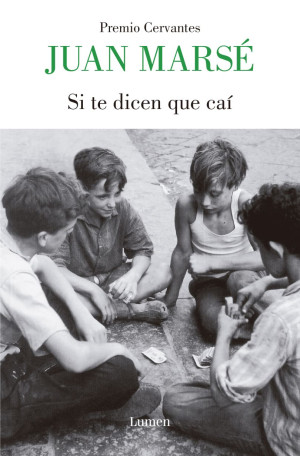 Si Te Dicen Que Caí
