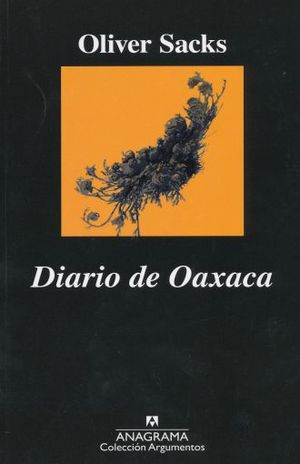 Diario De Oaxaca