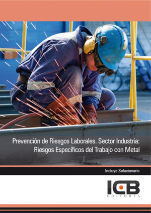 Ibd - Prevención De Riesgos Laborales. Sector Industria: Riesgos Específicos Del Trabajo Con Metal