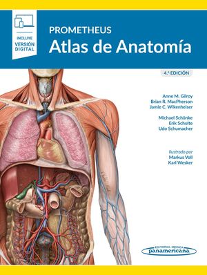 Prometheus. atlas de anatomía / 4 ed. (incluye ve - 9788491108450