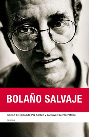sotano_covers/9788493/9788493890384.jpg