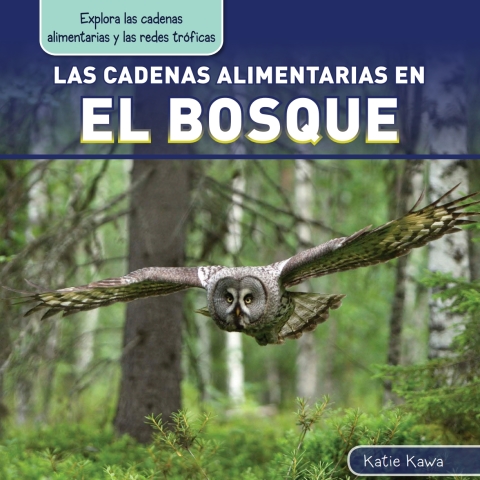 Las Cadenas Alimentarias En El Bosque (forest Food Chains)
