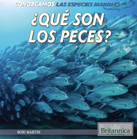 ¿qué Son Los Peces? (what Are Fish?)