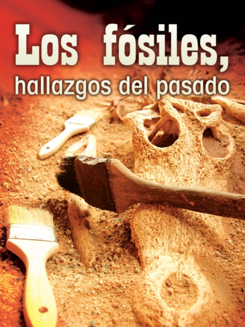 Los Fósiles, Hallazgos Del Pasado
