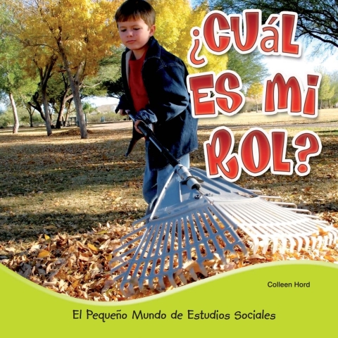 ¿cuál Es Mi Rol?