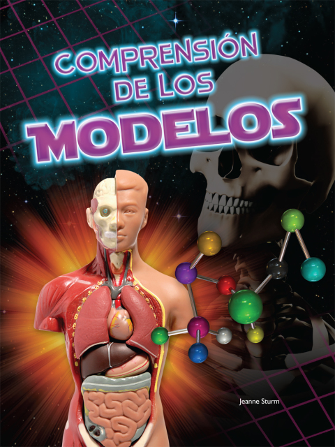 Comprensíon De Los Modelos