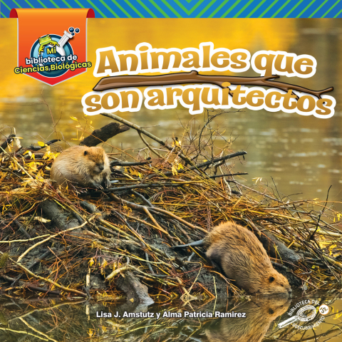 Animales Que Son Arquitectos