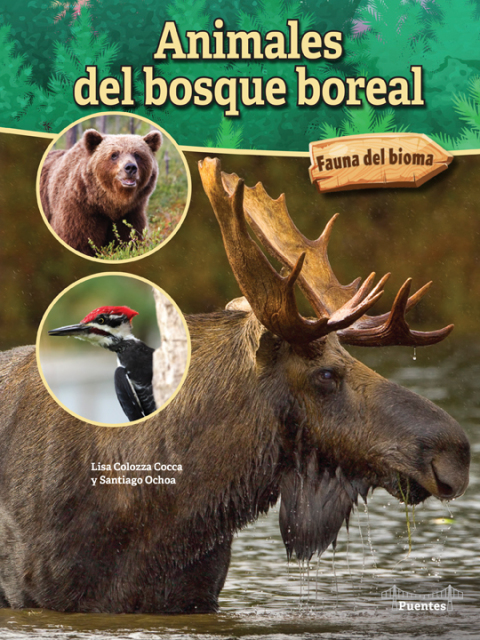 Animales Del Bosque Boreal