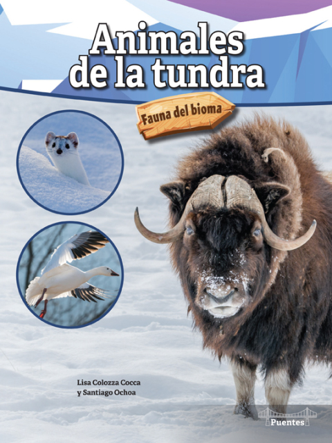 Animales De La Tundra