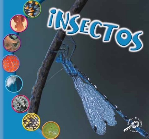 Insectos