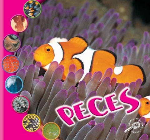 Peces