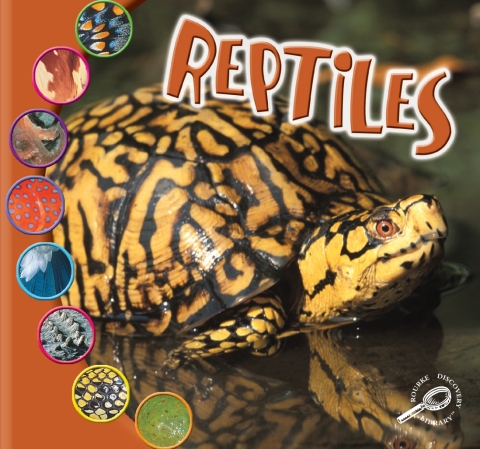 Reptiles