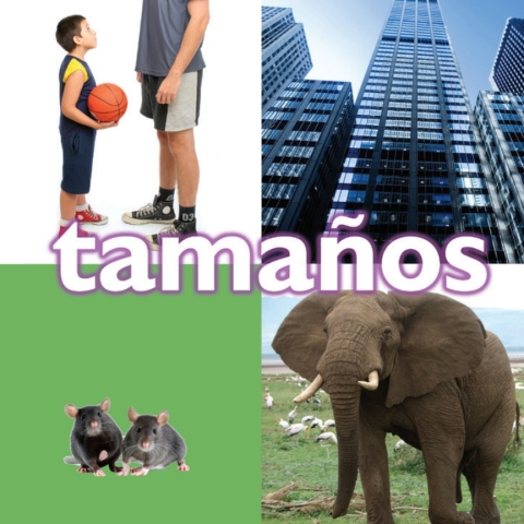Tamaños