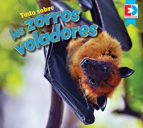 Todo Sobre Los Zorros Voladores (all About Flying Foxes)