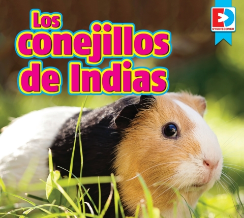 Los Conejillos De Indias (guinea Pigs)