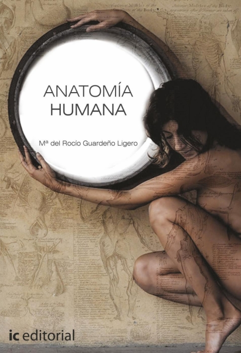 Anatomia Humana