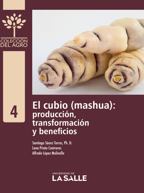 El Cubio (mashua): Producción, Transformación Y Beneficios